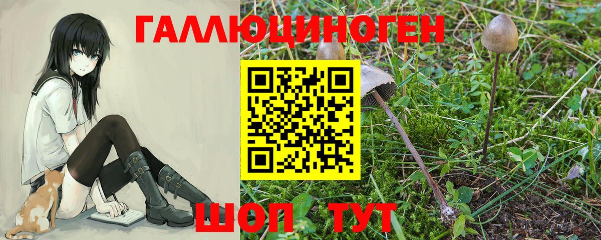 Псилоцибиновые грибы прущие грибы Карабулак